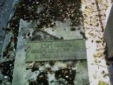 image of grave number 384242
